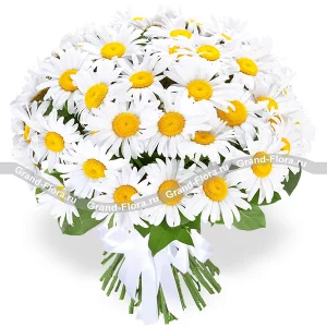 Charm of summer - a bouquet of daisies