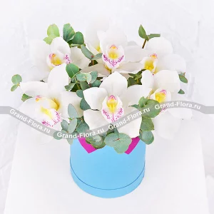 Tenderness of spring - box with white orchids